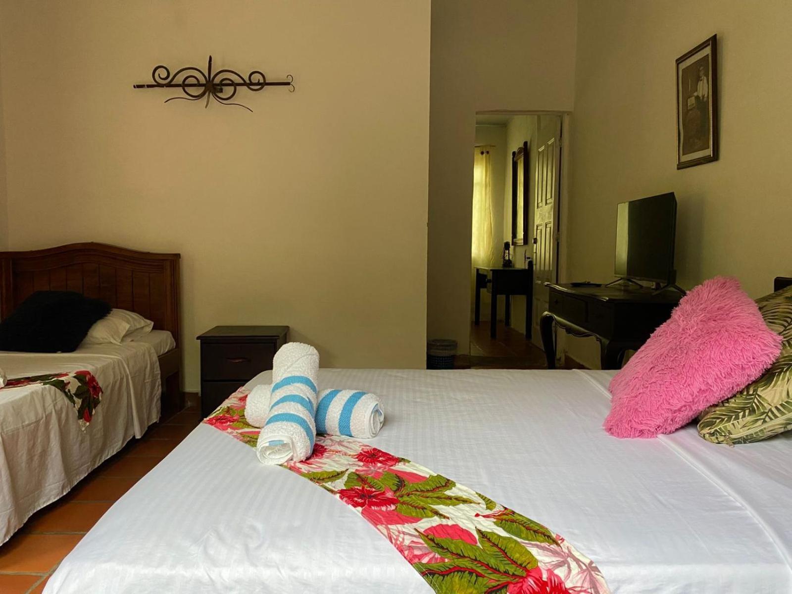 Villa Sonia Eco-Hostel Gigante Luaran gambar